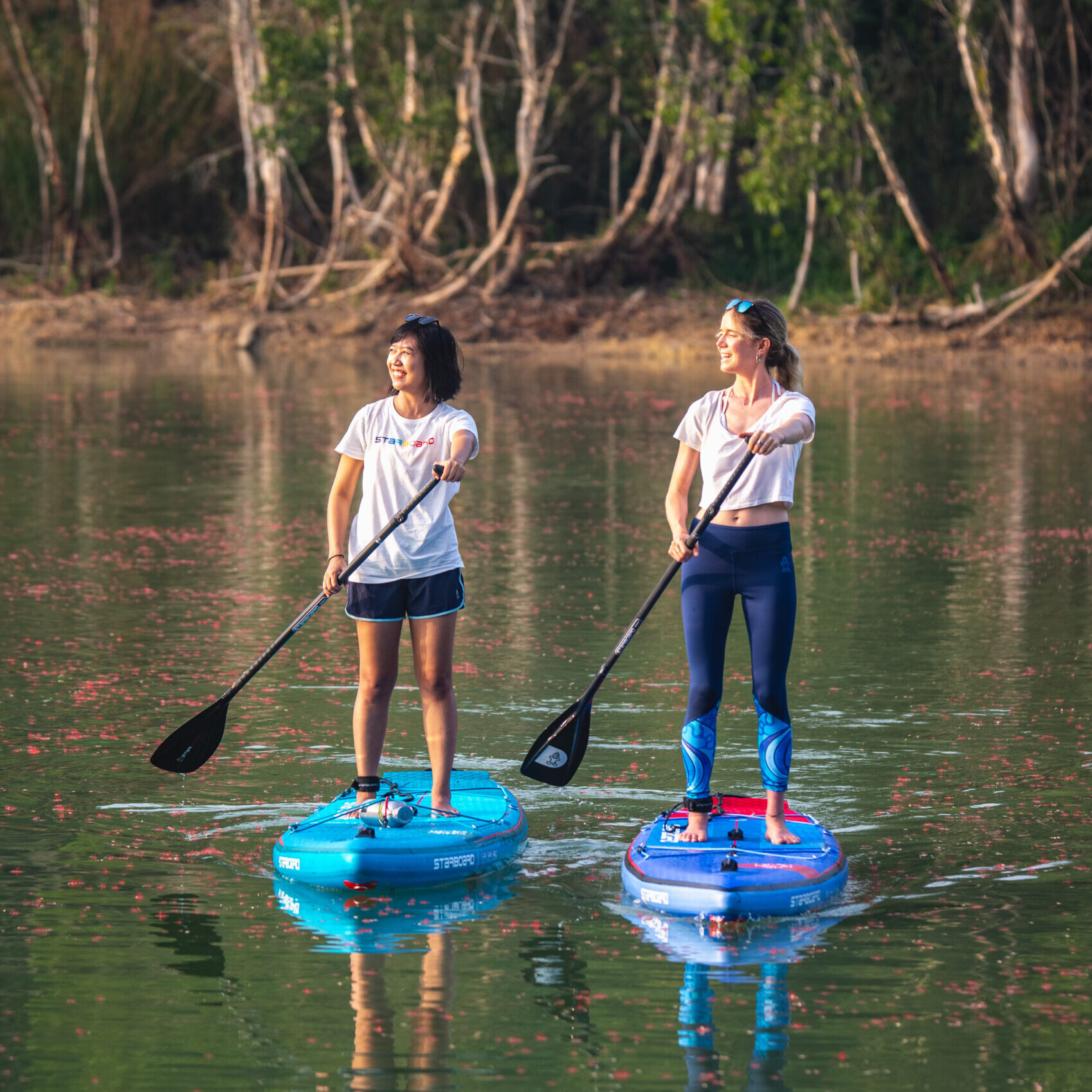 Starboard SUP » Explore the range
